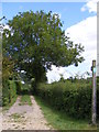 Bridleway to Mill Lane