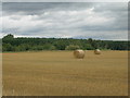 Farmland towards Bawtry Forest