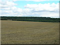 Farmland off Bawtry Road