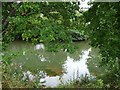 The River Teme