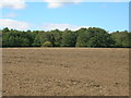 Farmland near Bircotes