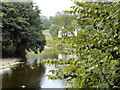 River Ribble, Sawley