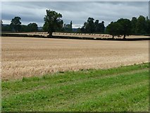 SO5371 : Stubble field south of The Serpent by Christine Johnstone