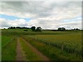 Track to slurry pit, Lowfield Cottages