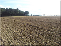 TM3987 : Newly ploughed fields in Ringsfield by Helen Steed
