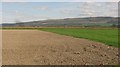 Carse land near Thornhill