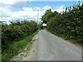 Looking north up Hook Lane by Ludwell Farm