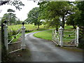 Handsome black and white gates