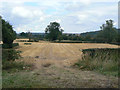 Stubble field