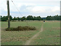 Field footpath near Calverton