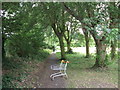 Shopping trolley on Green Chain Walk