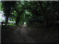 Norfolk Coast path