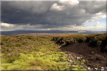 SD6147 : Heather Moor Bowland by Tom Richardson