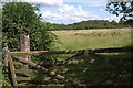 Grass field near Ellick House