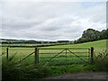 Gated field entrance near Broomy Bank