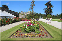 O2116 : Rose Garden, Powerscourt, County Wicklow, Ireland by Christine Matthews