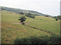 Farm land and stream towards Sale Lane