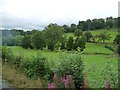 Valley of the Nant-y-Caws Brook