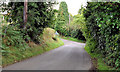 The Ballynahatty Road near the Giant