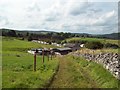 Farm and Lime Tree Caravan Park