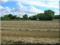 Farmland near Bell Farm