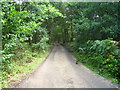 Access track - Yateley Common