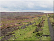 NY9744 : Trackbed of the former Weardale & Rookhope Railway east of Bell's Hill by Mike Quinn
