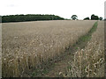 Footpath north of Green Farm 