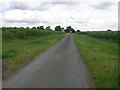 Road towards North Duffield Lodge