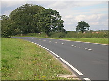 SE6245 : A19 towards York by JThomas