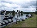 Walk along the Thames from Runnymede to Old Windsor (61)