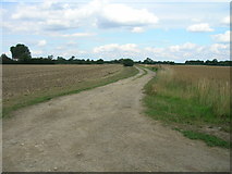 SE6046 : Farm track off Howden Lane by JThomas