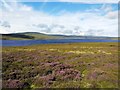 NY8129 : Heather moorland east of Cow Green Reservoir by Andrew Curtis