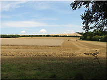 TF7235 : Undulating fields north of Fring Road, Sedgeford by Evelyn Simak