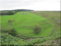 NY9841 : The valley of Stanhope Burn around Hope House by Mike Quinn