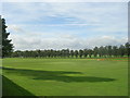 Cricket Pitches - off Albemarle Road