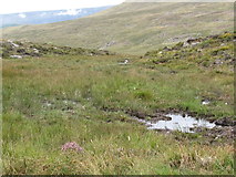 J2923 : Boggy area west of the Banns Road in the vicinity of the Mourne Wall by Eric Jones
