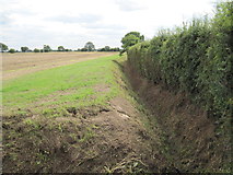 SE6319 : Field  Drain  in  open  Country by Martin Dawes