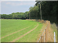 Field by Bunce Court Road