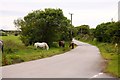 The road to Bodmin