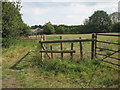 Field off Waterditch Lane