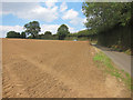 Ploughed field by Stonestile Farm Road