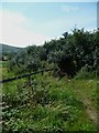 Footpath junction north of Fulking