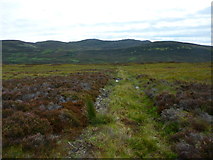 NH5190 : Miles and miles of heather moorland...... by sylvia duckworth
