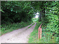 Bridleway from Stalisfield Road