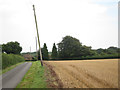 Harvested wheat field by Stalisfield Road