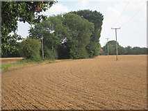 TQ9654 : Field by Holbeam Road by Oast House Archive