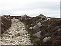 J2924 : The rocky road to Lough Shannagh by Eric Jones