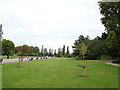 Row of trees in Regent