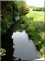 River Lark north of Tollgate Bridge